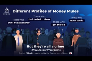 Different profiles of money mules