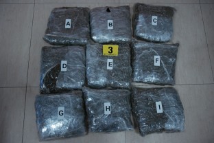 More Than 9.5 kg of “Skunk” Detected, Four Individuals Apprehended