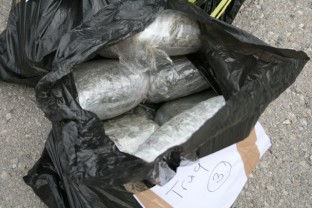 На подручју Требиња заплијењено око 30 килограма опојне дроге скунк